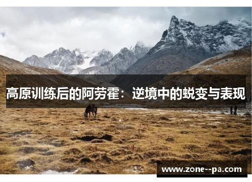 高原训练后的阿劳霍：逆境中的蜕变与表现
