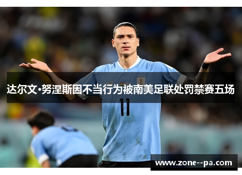 达尔文·努涅斯因不当行为被南美足联处罚禁赛五场